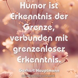 Humor ist Erkenntnis der Grenze,
verbunden mit grenzenloser Erkenntnis. 