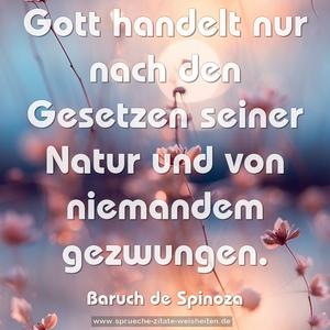 Gott handelt nur nach den Gesetzen seiner Natur
und von niemandem gezwungen.