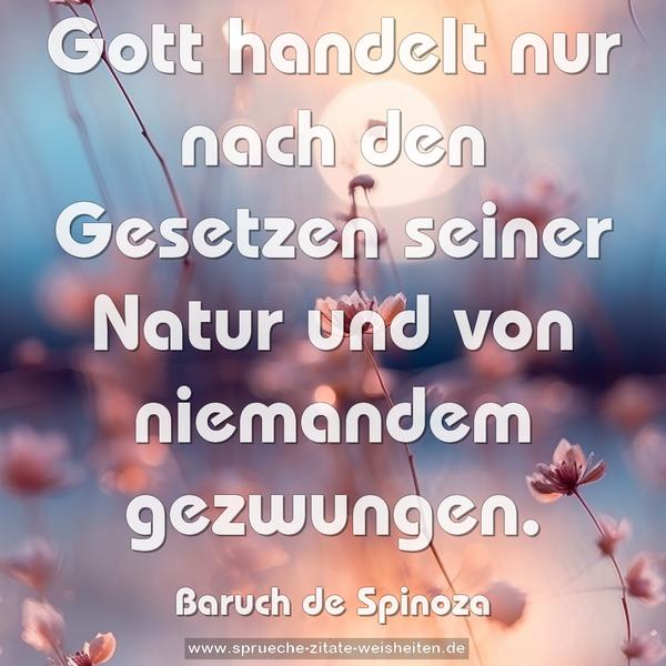 Gott handelt nur nach den Gesetzen seiner Natur
und von niemandem gezwungen.