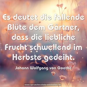 Es deutet die fallende Blüte dem Gärtner,
dass die liebliche Frucht schwellend im Herbste gedeiht.