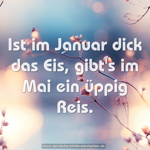 Ist im Januar dick das Eis,
gibt's im Mai ein üppig Reis.