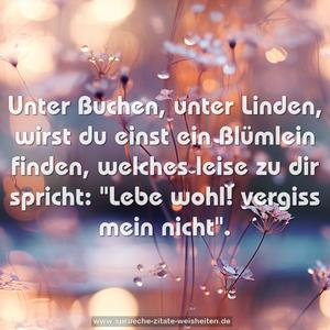 Unter Buchen, unter Linden,
wirst du einst ein Blümlein finden,
welches leise zu dir spricht:
"Lebe wohl! vergiss mein nicht".
