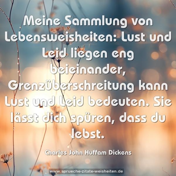 Meine Sammlung von Lebensweisheiten:
Lust und Leid liegen eng beieinander,
Grenzüberschreitung kann Lust und Leid bedeuten.
Sie lässt dich spüren,
dass du lebst.