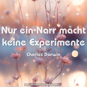 Nur ein Narr macht keine Experimente