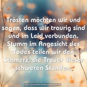 Trösten möchten wir und sagen,
dass wir traurig sind und im Leid verbunden.
Stumm im Angesicht des Todes teilen wir den Schmerz,
die Trauer dieser schweren Stunden.