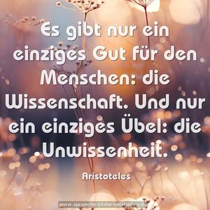 Es gibt nur ein einziges Gut für den Menschen:
die Wissenschaft.
Und nur ein einziges Übel:
die Unwissenheit.
