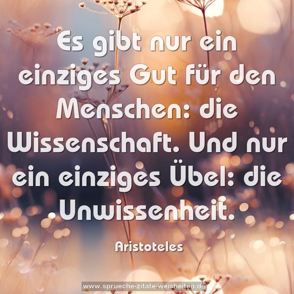 Es gibt nur ein einziges Gut für den Menschen:
die Wissenschaft.
Und nur ein einziges Übel:
die Unwissenheit.
