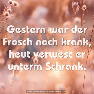 Gestern war der Frosch noch krank, 
heut verwest er unterm Schrank.
