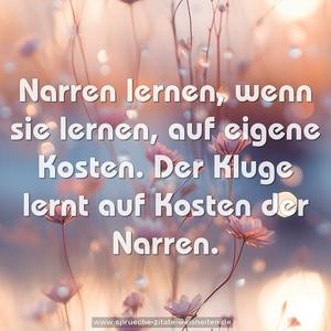 Narren lernen, wenn sie lernen, auf eigene Kosten. 
Der Kluge lernt auf Kosten der Narren.