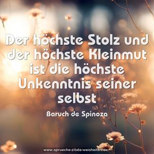 Der höchste Stolz und der höchste Kleinmut
ist die höchste Unkenntnis seiner selbst 