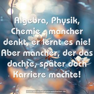 Algebra, Physik, Chemie -
mancher denkt, er lernt es nie!
Aber mancher, der das dachte,
später doch Karriere machte!