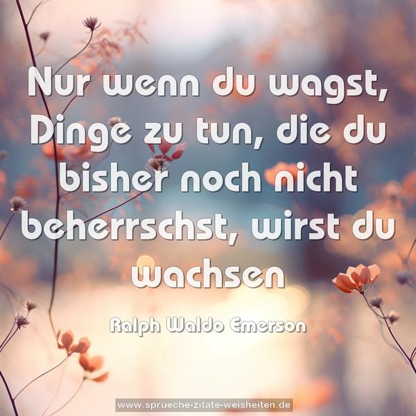 Nur wenn du wagst, Dinge zu tun,
die du bisher noch nicht beherrschst,
wirst du wachsen