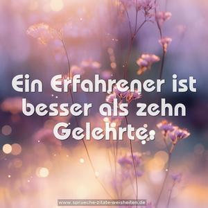 Ein Erfahrener ist besser als zehn Gelehrte.