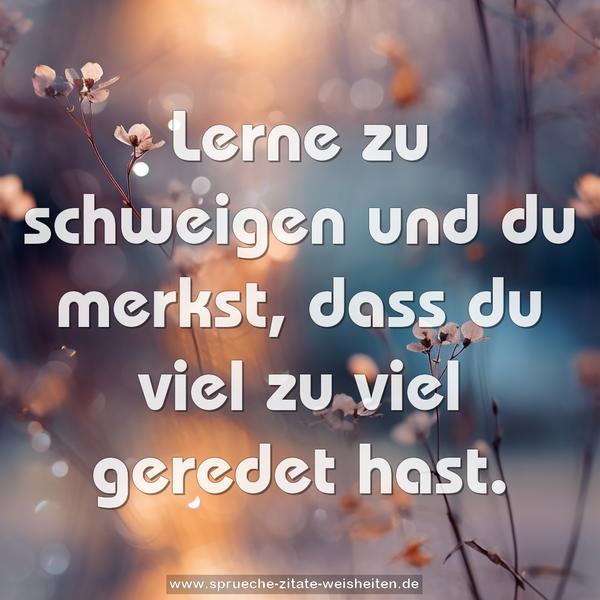 Lerne zu schweigen und du merkst,
dass du viel zu viel geredet hast.