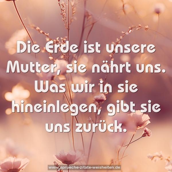 Die Erde ist unsere Mutter,
sie nährt uns.
Was wir in sie hineinlegen,
gibt sie uns zurück.