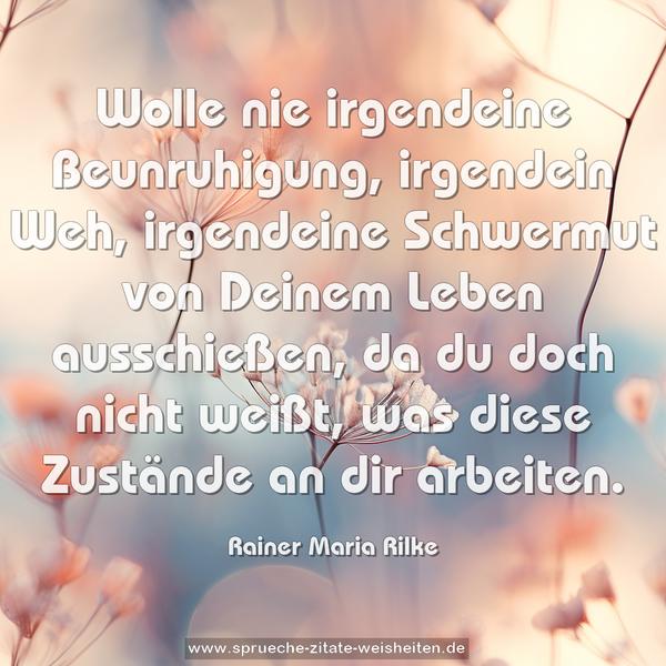 Wolle nie irgendeine Beunruhigung, irgendein Weh,
irgendeine Schwermut von Deinem Leben ausschießen,
da du doch nicht weißt, was diese Zustände an dir arbeiten.