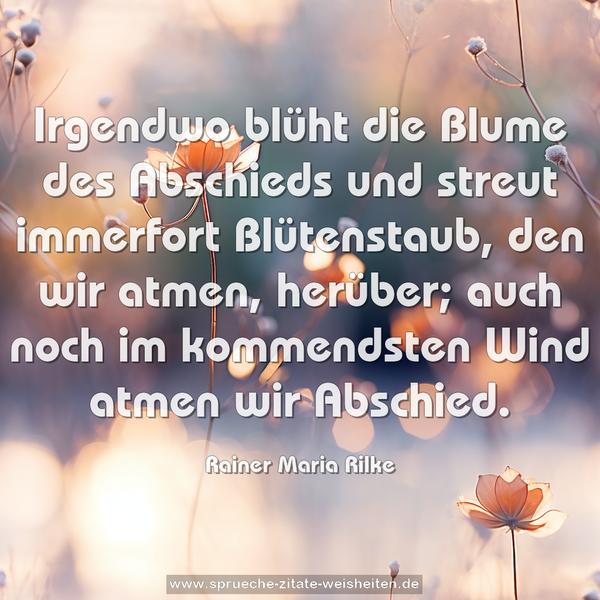 Irgendwo blüht die Blume des Abschieds und streut immerfort Blütenstaub, den wir atmen, herüber; auch noch im kommendsten Wind atmen wir Abschied.