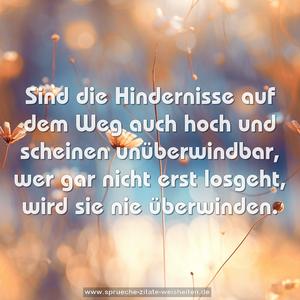 Sind die Hindernisse auf dem Weg auch hoch
und scheinen unüberwindbar,
wer gar nicht erst losgeht,
wird sie nie überwinden.