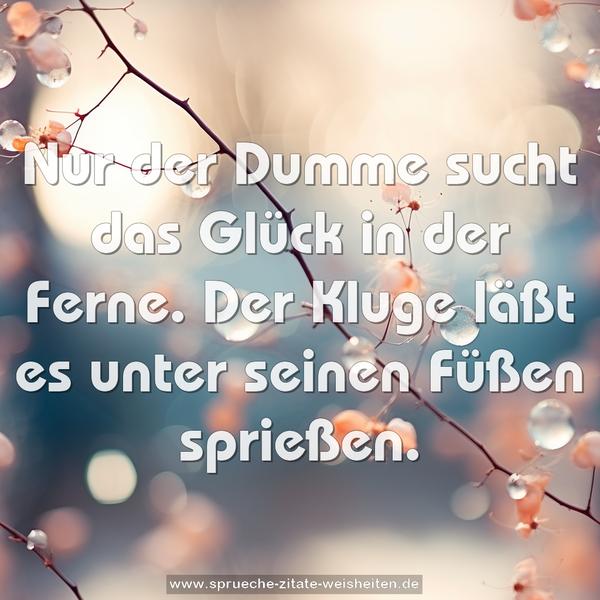 Nur der Dumme sucht das Glück in der Ferne.
Der Kluge läßt es unter seinen Füßen sprießen.