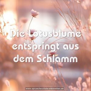 Die Lotusblume entspringt aus dem Schlamm