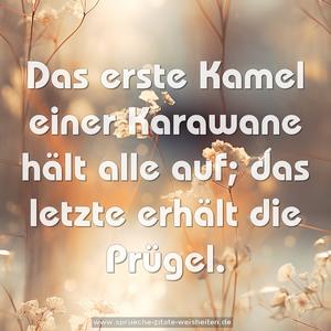 Das erste Kamel einer Karawane hält alle auf;
das letzte erhält die Prügel.