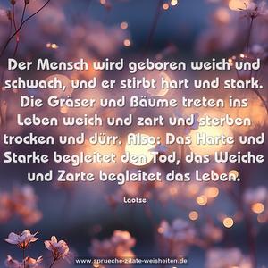 Der Mensch wird geboren weich und schwach,
und er stirbt hart und stark.
Die Gräser und Bäume treten ins Leben weich und zart
und sterben trocken und dürr.
Also: Das Harte und Starke begleitet den Tod,
das Weiche und Zarte begleitet das Leben. 