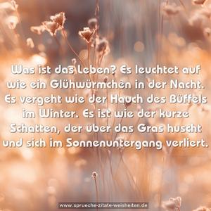 Was ist das Leben?
Es leuchtet auf wie ein Glühwürmchen in der Nacht.
Es vergeht wie der Hauch des Büffels im Winter.
Es ist wie der kurze Schatten, der über das Gras huscht
und sich im Sonnenuntergang verliert.
