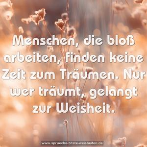 Menschen, die bloß arbeiten,
finden keine Zeit zum Träumen.
Nur wer träumt, gelangt zur Weisheit.
