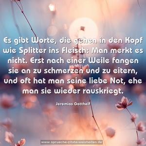 Es gibt Worte, die gehen in den Kopf wie Splitter ins Fleisch: Man merkt es nicht. Erst nach einer Weile fangen sie an zu schmerzen und zu eitern, und oft hat man seine liebe Not, ehe man sie wieder rauskriegt.