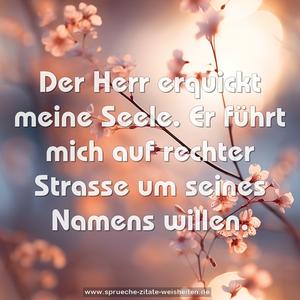 Der Herr erquickt meine Seele.
Er führt mich auf rechter Strasse um seines Namens willen.