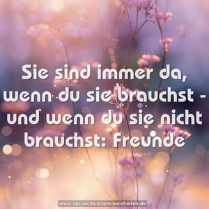 Sie sind immer da,
wenn du sie brauchst -
und wenn du sie nicht brauchst:
Freunde