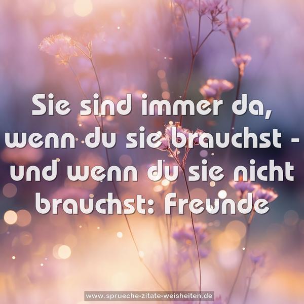 Sie sind immer da,
wenn du sie brauchst -
und wenn du sie nicht brauchst:
Freunde