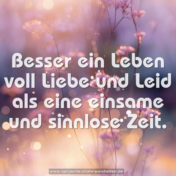 Besser ein Leben voll Liebe und Leid
als eine einsame und sinnlose Zeit.