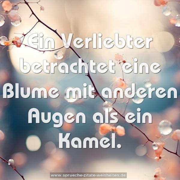 Ein Verliebter betrachtet eine Blume
mit anderen Augen als ein Kamel.