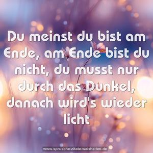 Du meinst du bist am Ende,
am Ende bist du nicht,
du musst nur durch das Dunkel,
danach wird's wieder licht