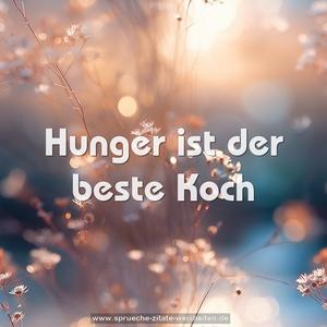 Hunger ist der beste Koch
