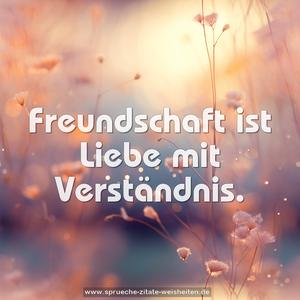 Freundschaft ist Liebe mit Verständnis.