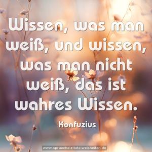 Wissen, was man weiß,
und wissen,
was man nicht weiß,
das ist wahres Wissen.