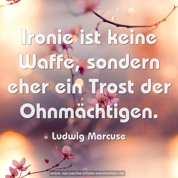 Ironie ist keine Waffe,
sondern eher ein Trost der Ohnmächtigen.