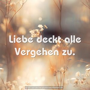 Liebe deckt alle Vergehen zu.