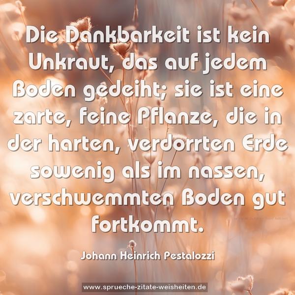 Die Dankbarkeit ist kein Unkraut,
das auf jedem Boden gedeiht;
sie ist eine zarte, feine Pflanze,
die in der harten, verdorrten Erde sowenig als im nassen,
verschwemmten Boden gut fortkommt.