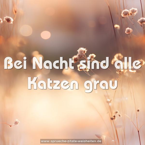 Bei Nacht sind alle Katzen grau