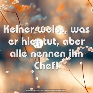 Keiner weiss, was er hier tut,
aber alle nennen ihn Chef!