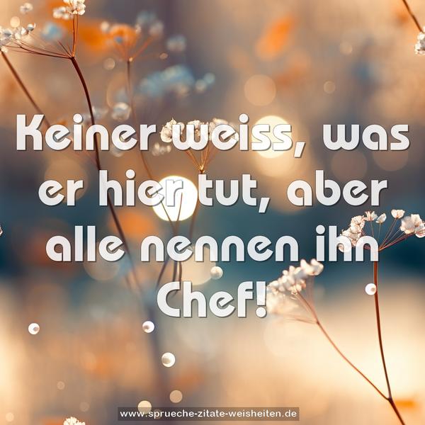 Keiner weiss, was er hier tut,
aber alle nennen ihn Chef!
