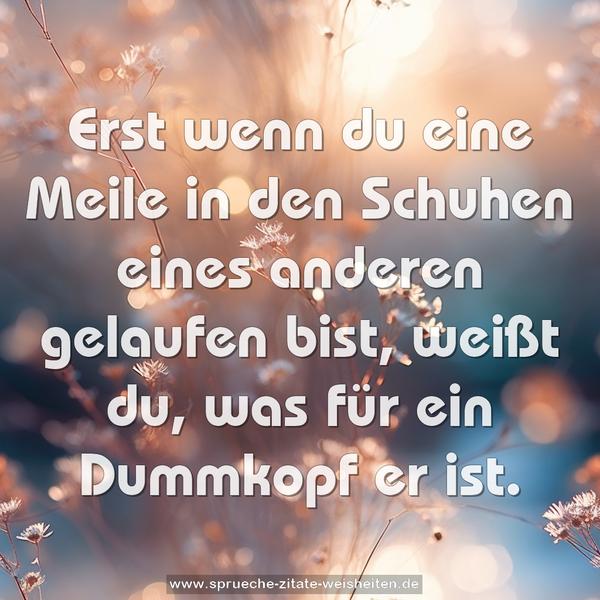 Erst wenn du eine Meile in den Schuhen eines anderen gelaufen bist, weißt du, was für ein Dummkopf er ist.