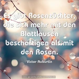 Es gibt Rosenzüchter,
die sich mehr mit den Blattläusen beschäftigen
als mit den Rosen.