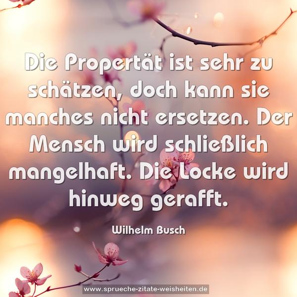 Die Propertät ist sehr zu schätzen,
doch kann sie manches nicht ersetzen.
Der Mensch wird schließlich mangelhaft.
Die Locke wird hinweg gerafft.