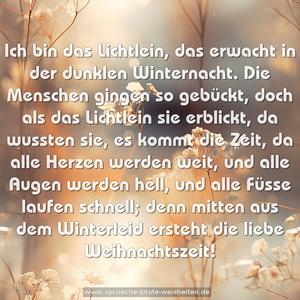 Ich bin das Lichtlein, das erwacht
in der dunklen Winternacht.
Die Menschen gingen so gebückt,
doch als das Lichtlein sie erblickt,
da wussten sie, es kommt die Zeit,
da alle Herzen werden weit,
und alle Augen werden hell,
und alle Füsse laufen schnell;
denn mitten aus dem Winterleid
ersteht die liebe Weihnachtszeit!