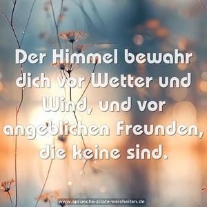 Der Himmel bewahr dich vor Wetter und Wind,
und vor angeblichen Freunden, die keine sind.