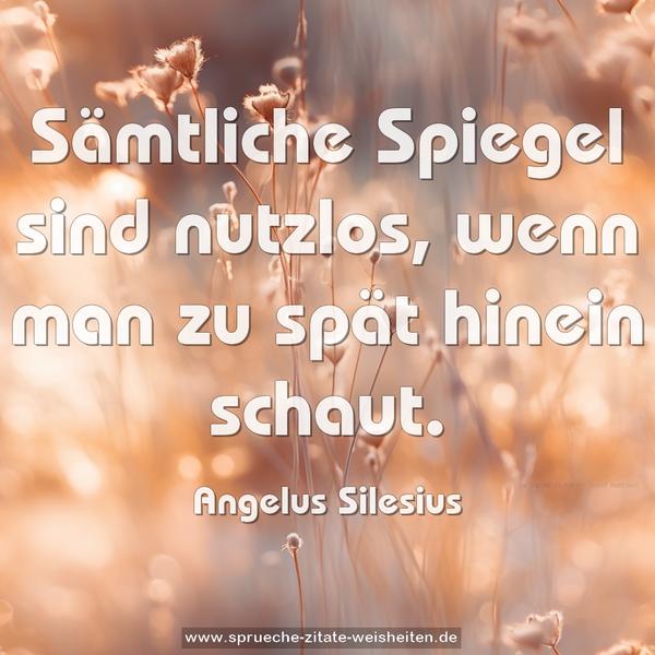 Sämtliche Spiegel sind nutzlos,
wenn man zu spät hinein schaut. 